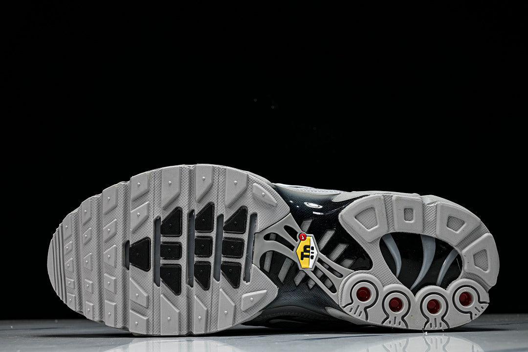 Nike Air Max Plus TN – Wolf Grey